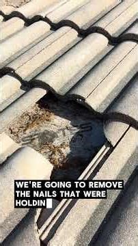 Part 2: Fixing tile roof before we clean it! #roofwash