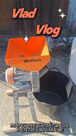 Grinding Corn at the Grain Mill 🌽 | Making Healthy Animal Feed from Scratch