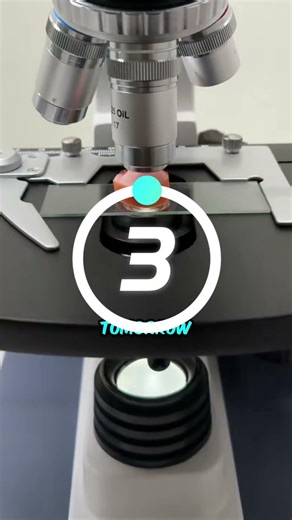 Sausage under microscope 🤮🤮