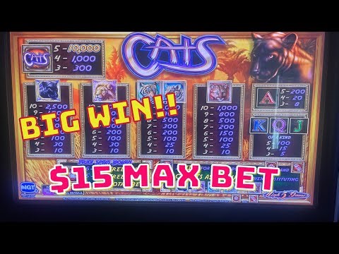 Cats Slot Machine.05 denomination $15 Max Bet