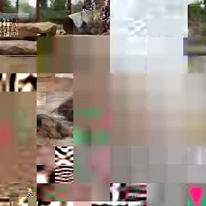 248K views · 2.6K reactions | Stay up to date with everything Sydney Zoo - Western Sydney's very own, world-class zoo  | Sydney Zoo | Facebook