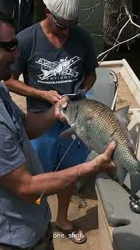 Man invents Fish Hawk Blowgun, shoots fish, breaks drone in three minutes.