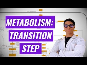 Transition Step to Create Acetyl-CoA (Ninja Nerd synthesis)