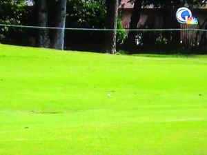 Jack Nicklaus at 72, Arnold Palmer at 82, Gary Player at 76, Driver Swings