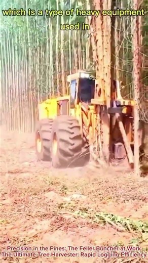 Precision in the Pines: The Feller Buncher at Work - The Ultimate Tree Harvester: Rapid Logging