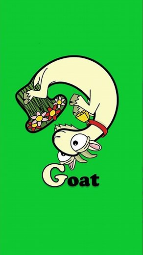 Animals that start with G - Gazelle, Gecko, Giraffe, Goat, Goose, Gorilla, Guinea pig #Shorts