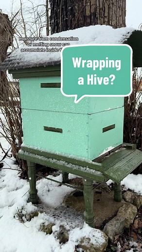 Should You Wrap Your Beehive? Beekeeping Tips for Winter