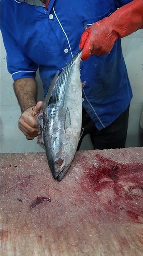 Tuna Cutting Techniques Used by Expert Fishmongers