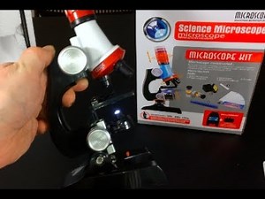 Cheapest $13 microscope with 1200X magnification (What can we see?)