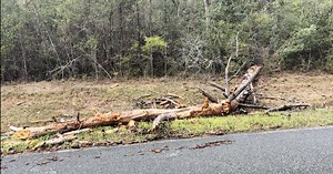 EF-0 tornado touches down in Grady County Thursday, woman hospitalized after tree falls on her car