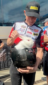 16K views · 459 reactions | Well, we’ve pulled a rabbit out of the hat this weekend, literally. From found on the streets of Irondale, Alabama to drag racing’s largest stage, in just a week’s time— meet Ruffner the rabbit. #LuckyRabbitFootX4 #stevejohnsonracing #nhrapsm #NHRAonFOX | Steve Johnson Racing | Facebook