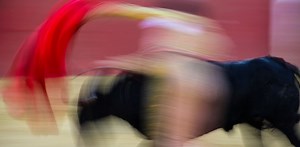 Award-winning bullfighting documentary likely to anger aficionados and abolitionists alike