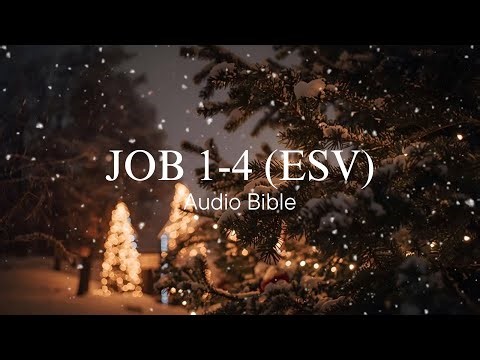 Day 133: Job 1-4 (ESV) | Audio Bible with written text | Bible in a Year