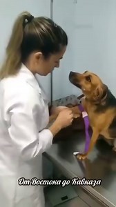 ¡Qué bueno!🥰 No te olvides de gustar el botón de l | Alegría de vivir