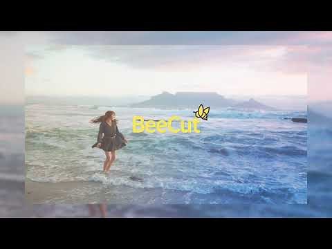 BeeCut V1.6.7.14 An Easy Video Editing Software to Make Your Story Come Alive