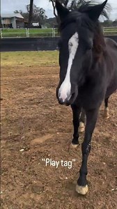 Surprise! Phoenix insisted on being the one to tell everyone the news 🤗