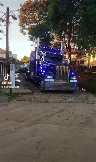 Videos de elitecromos (@elitecromos) con “Harmonica Soul - Cottonfield Blues”