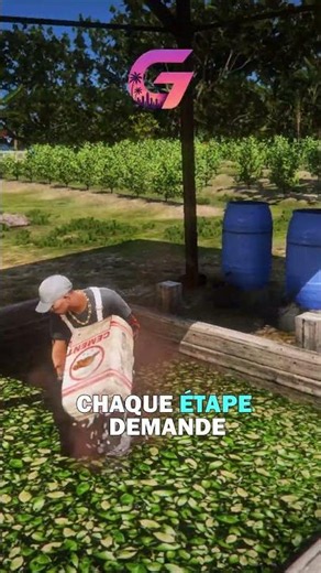 Tout commence sur une île, ce que tu vois là, c'est que le début ! #gta #gta5rp #gtarp #fivemfrance