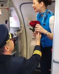 Pilot and flight attendant love💕 | Aviación como una Pasión