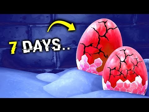 Say Hello To Dragons In Fortnite