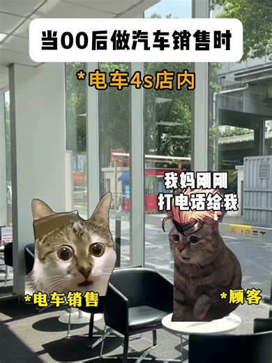 当00后做汽车销售时 #猫meme #搞笑 #内容过于真实 #反转