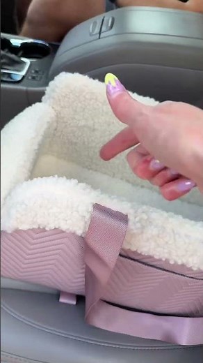 My baby loves her new dog car seat 🐶 PETSFIT_Official #dogcarseat