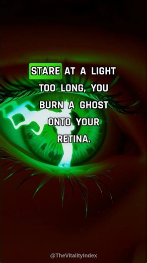 Stare at a light too long and you burn a ghost onto your retina. This phenome... #shorts #biohacking