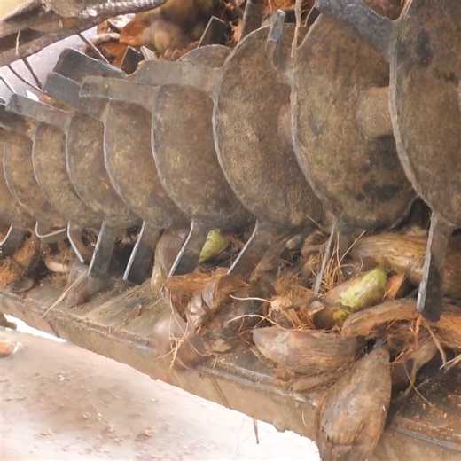 902K views · 3K reactions | Natural fiber extracted from the husk of coconut | Kitchen Craft & DIY | Facebook