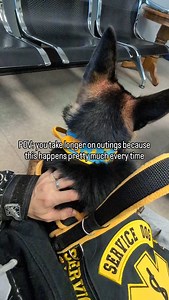 I'm very thankful for DPT, but I feel like I slow everyone down 😪 #servicedogtasking #taskingdog #dpt #servicedog #gsd | Dogs on the Farm