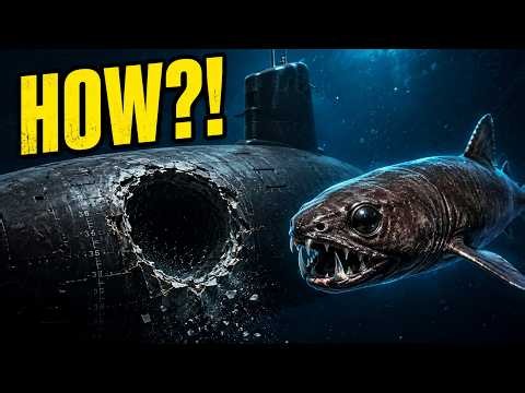 The Cookiecutter Shark That Defeated a Nuclear Submarine