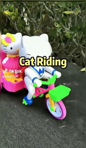 Cats riding tricycles are so cute #toy #cat