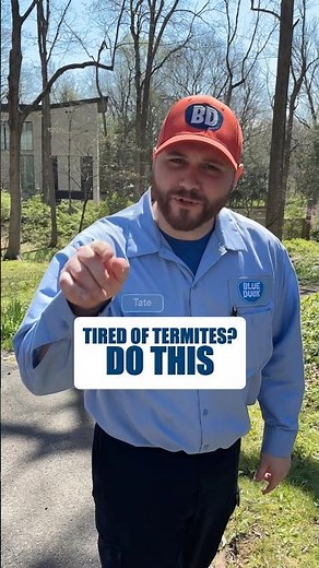 How to Seat a Termite Bait Station Correctly #shorts