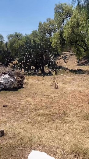 The amazing city of Teotihuacan is found on the outskirts of Mexico City, and was built around 200AD. The name “Teotihuacan” means “the place where the gods were created” in the Nahuatl language. This city was once home to some of the largest pyramids in the world, including the Pyramid of the Sun and the Pyramid of the Moon. Adjacent is famous cave restaurant “La Gruta”, with delicious dishes that mix local cuisine ingredients with pre-Hispanic culinary heritage. 🇲🇽 | Tio Pablo