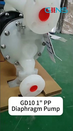 GD10P-FPS-PTT | 1" PP AODD Pump Details #aoddpump #diaphragmpump