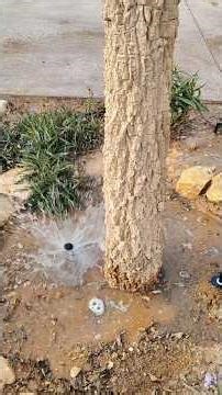 Tell me, what's the problem here? #agrideep2d10 #bubbler #hunter #irrigation