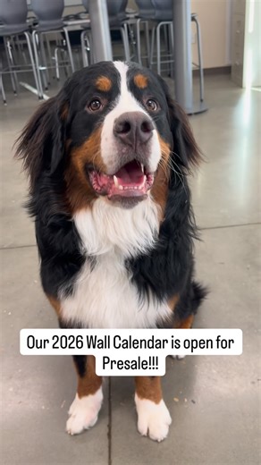 Guess what???? Our 2026 Calendar is ready for presale! (Shipping late next week!) It sold out last year so act fast!!! Link to our store in our bio!! | Bunsen Berner