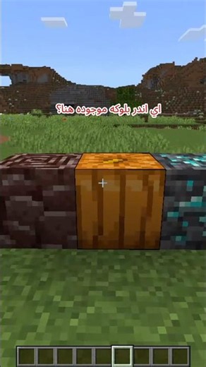 تلك البلوكه نسبتها 0000.1% ! اتحداك تكون عارفها ☠️ #minecraft #ماين_كرافت