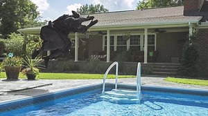 27K views · 928 reactions | BLACK LABEL SOCIETY - “GRIMMEST HITS” - “1O Out of 1O PROCTOLOGISTS AGREE!!! What this Album Doesn’t STRETCH Musically...it Does ANALLY” - HEALTHY BOWELS QUARTERLY - tBLSt SDMF Wylde Audio Death Wish Coffee Company Guitar Center Drum City-Guitarland Red Dragon Guitars EMG Pickups TonePros "Official" Floyd Rose Generation Axe Black Label Society Zakk Sabbath | Zakk Wylde | Facebook