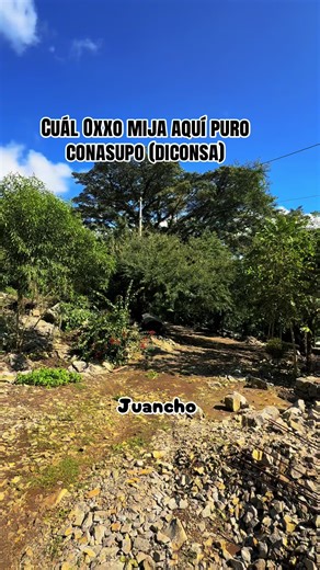 Videos de juancho (@eljarochitojuancho) con “El Querreque - Huapangos Huastecos”