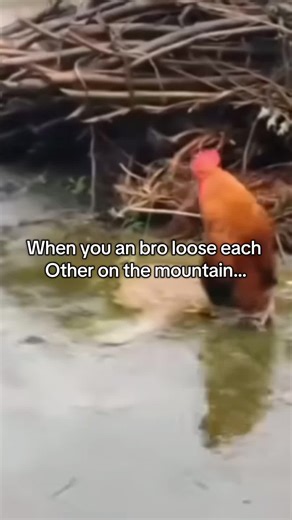 He was right next to me the whole time. #fortheboys #trend #viralvideo