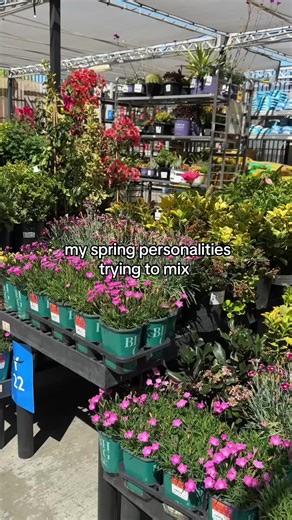 garden center 🤝 allergy aisle