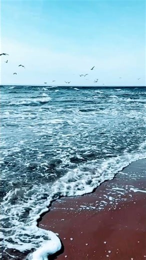 Seabirds Over Rolling Waves