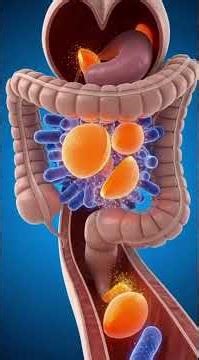 You Won’t Believe What Science Just Did 🤯 | 3D Animation