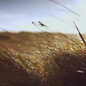 Highland Spring - The Ochil Hills. 2000 acres of pure,...