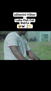 uDlamini YiStar - S1 (Ep 09) - Labo Fish Cat Bakho 🤣🐈‍⬛️🎣👇 #together #reel #trend #love #live #post #life #video #comedy #viral | AmaHlaya Comedi