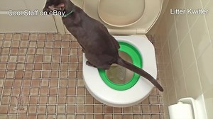 596K views · 1.7K reactions | These trays help you train your cat to...