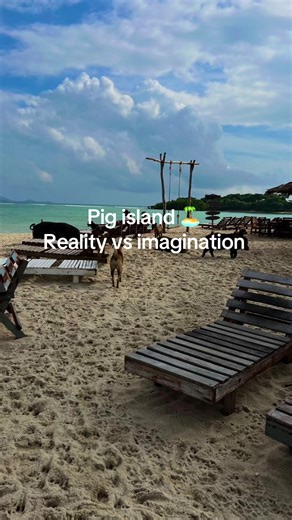 Exploring Pig Island in Thailand: Reality vs Imagination