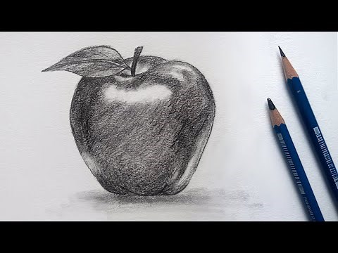 How to Draw an Apple in Pencil Easy | Learn Light & Shadow