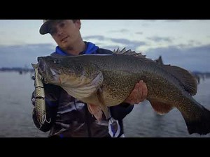 IN THE SCOPE : MURRAY COD