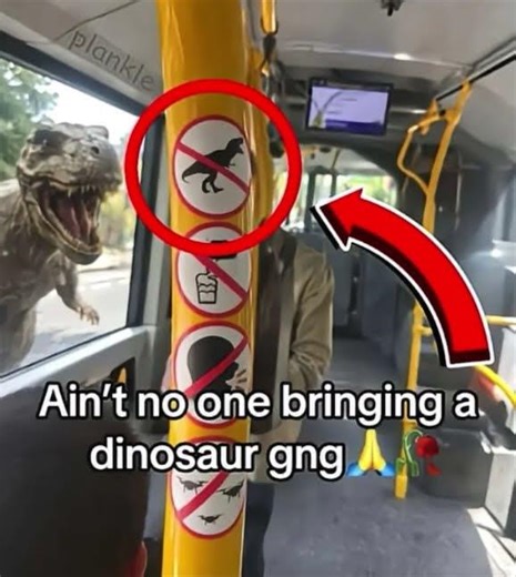 Ignore my dog ahh memes #meme #memes #shorts